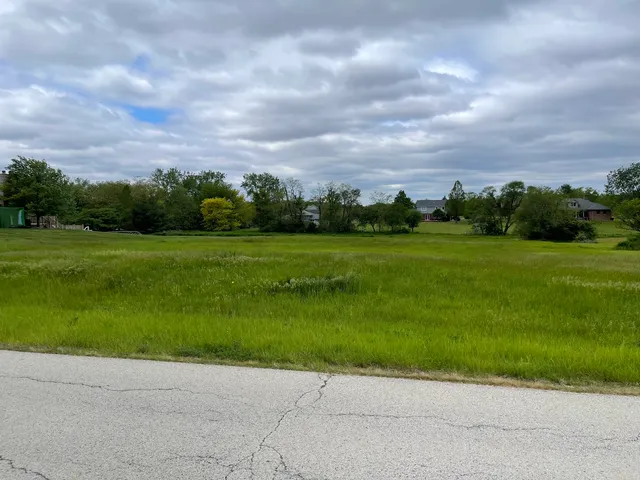 a view of a grassy field with an trees
