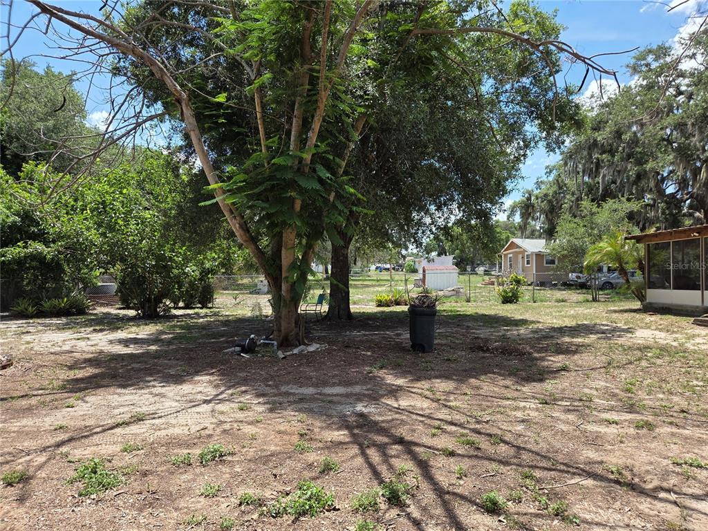124 East F Street Frostproof, FL 33843 - Photo 37 of 37 a view of a yard with plants and trees