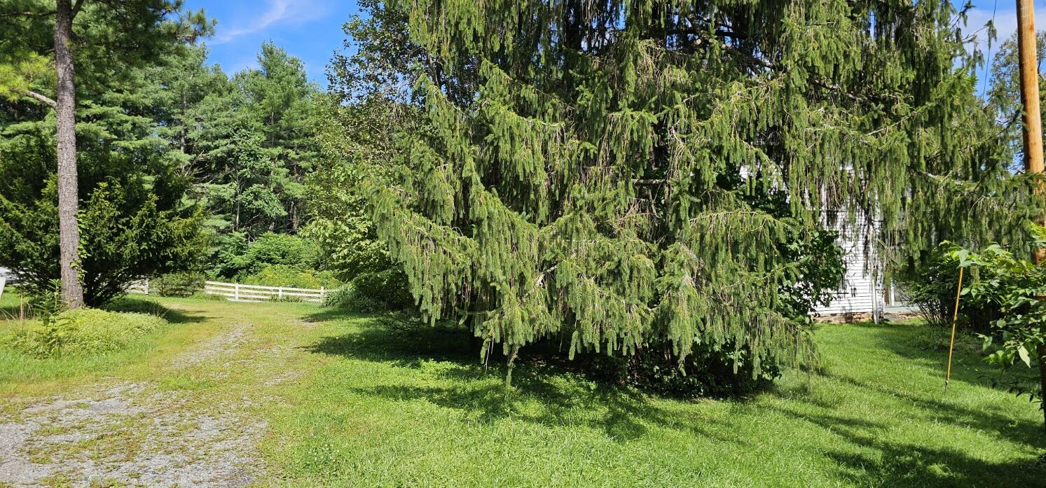 2900 Floyd Highway North Floyd, VA 24091 - Photo 11 of 50 a view of yard with green space