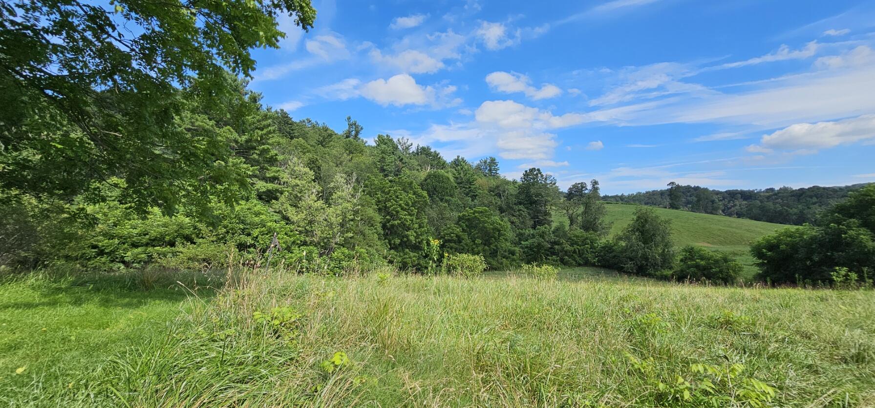 2900 Floyd Highway North Floyd, VA 24091 - Photo 18 of 50 a view of a green field