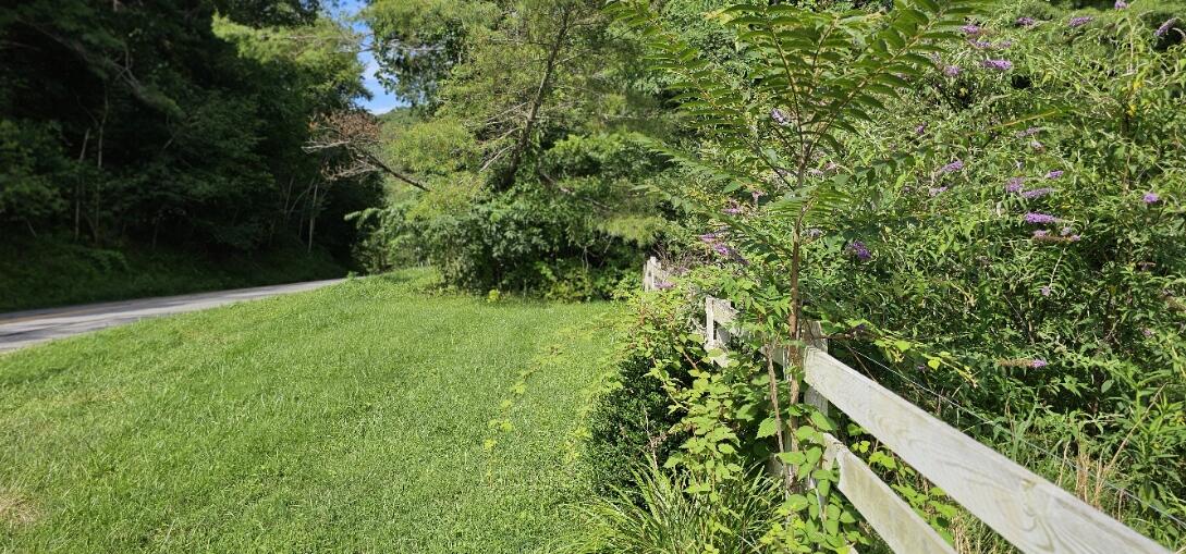 2900 Floyd Highway North Floyd, VA 24091 - Photo 3 of 50 a view of an outdoor space and a yard