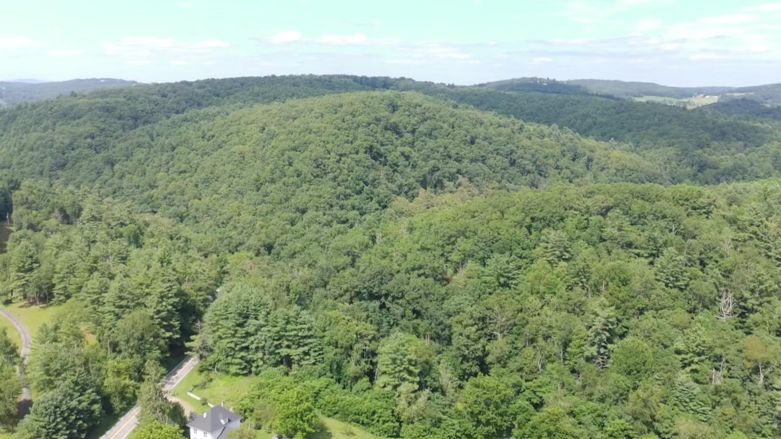 2900 Floyd Highway North Floyd, VA 24091 - Photo 32 of 50 IMG_20250804_1544041