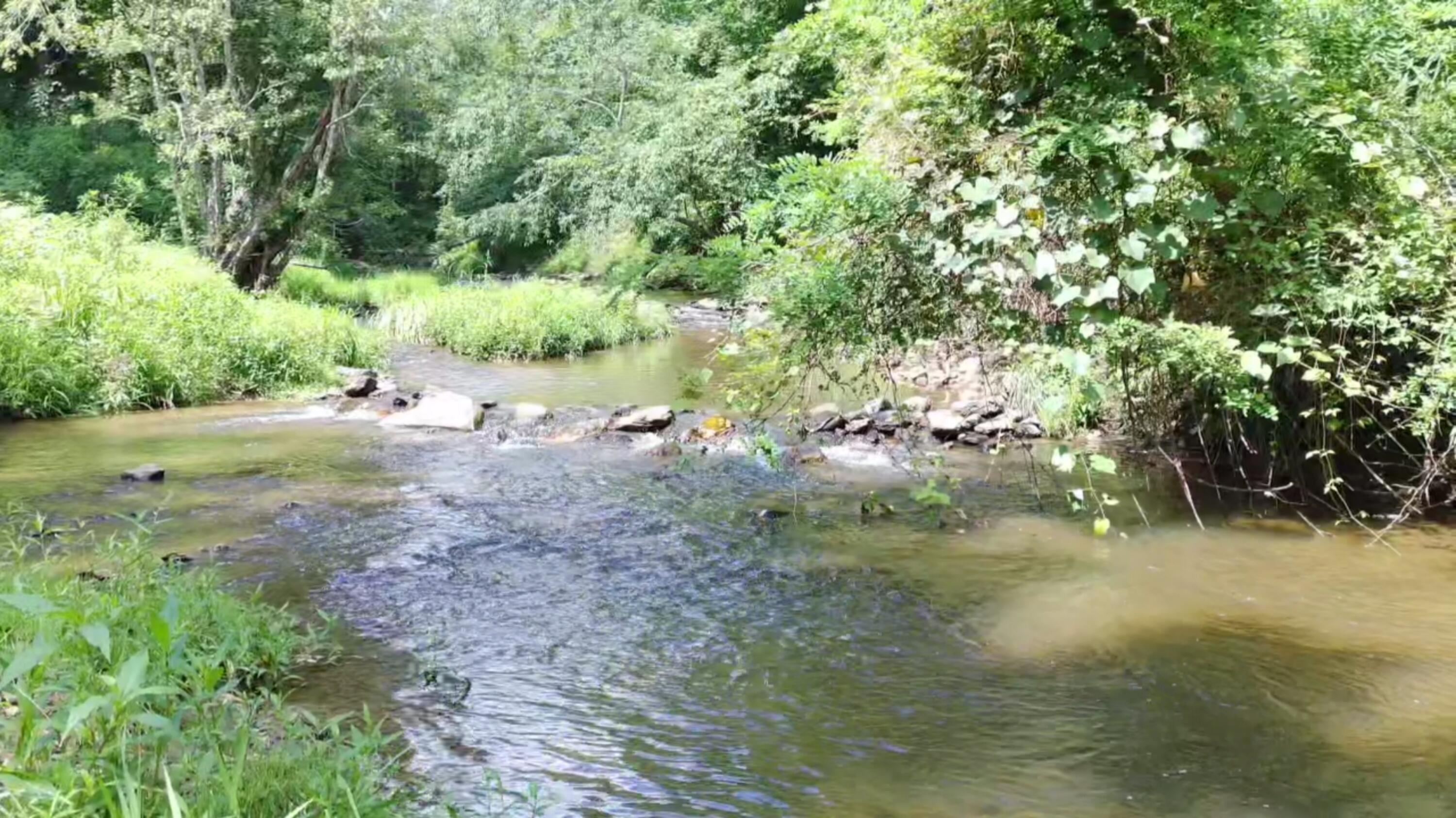 2900 Floyd Highway North Floyd, VA 24091 - Photo 39 of 50 IMG_20250804_1506021