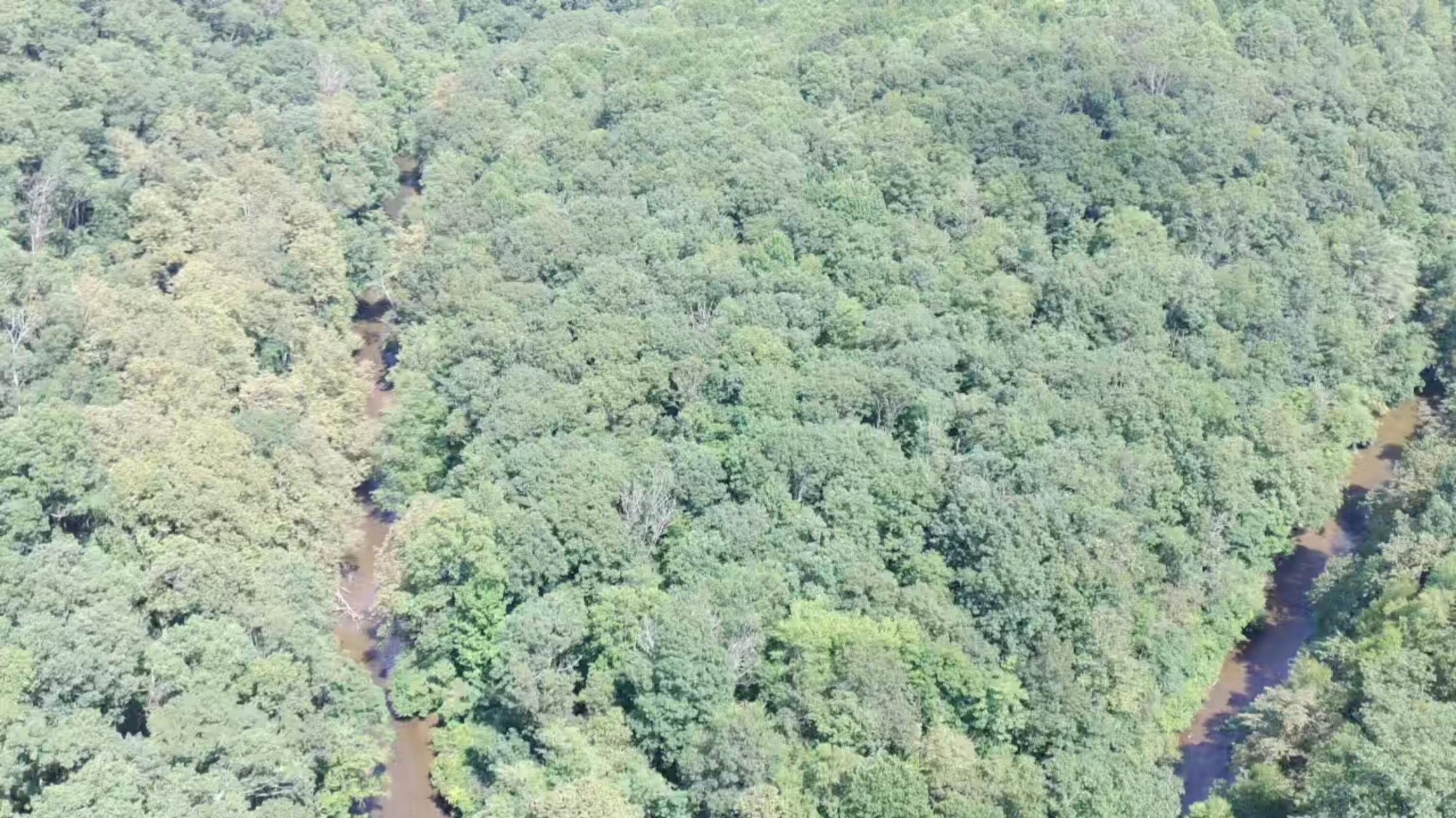 2900 Floyd Highway North Floyd, VA 24091 - Photo 40 of 50 IMG_20250804_1521039