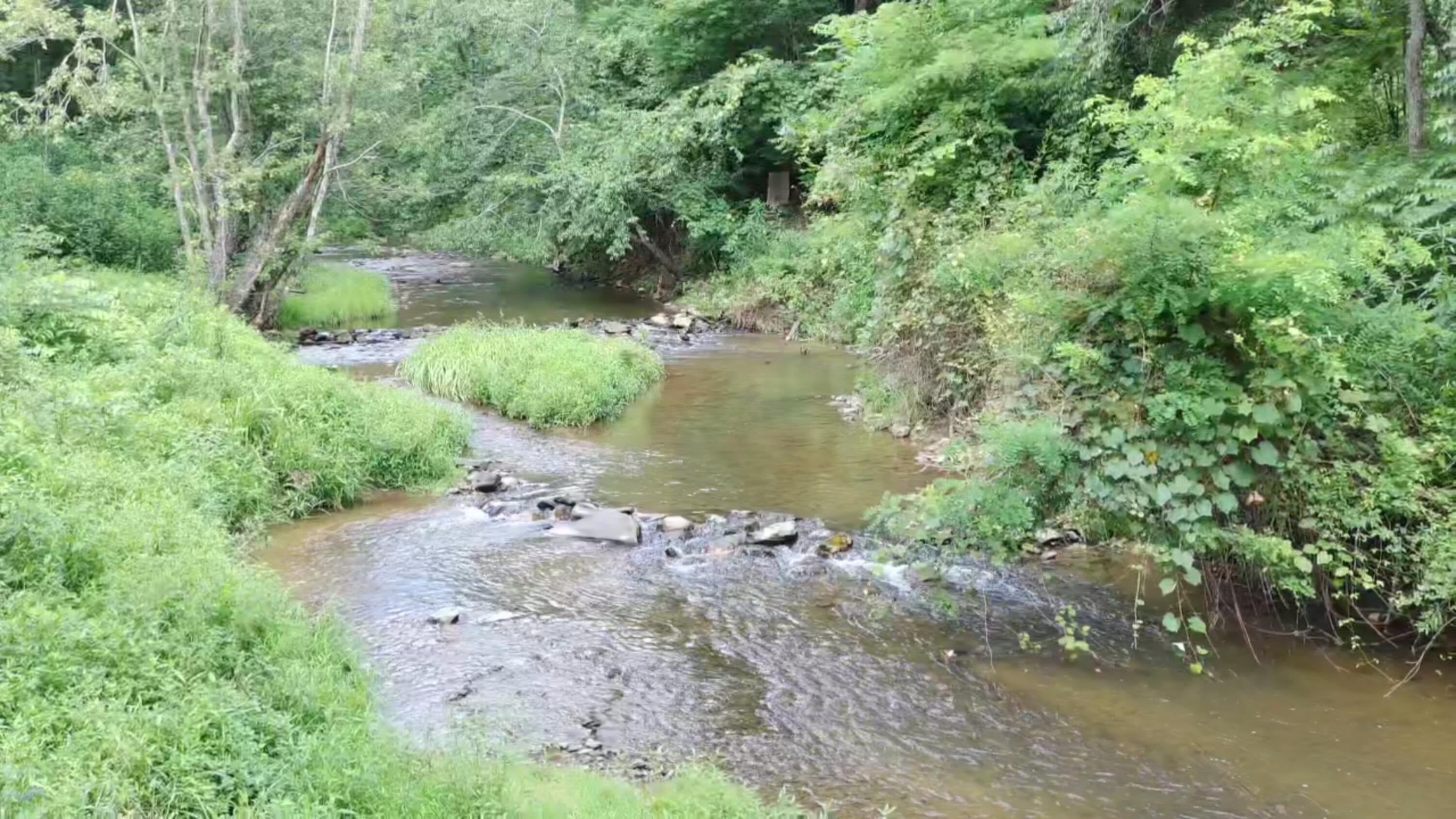 2900 Floyd Highway North Floyd, VA 24091 - Photo 41 of 50 IMG_20250804_1511015