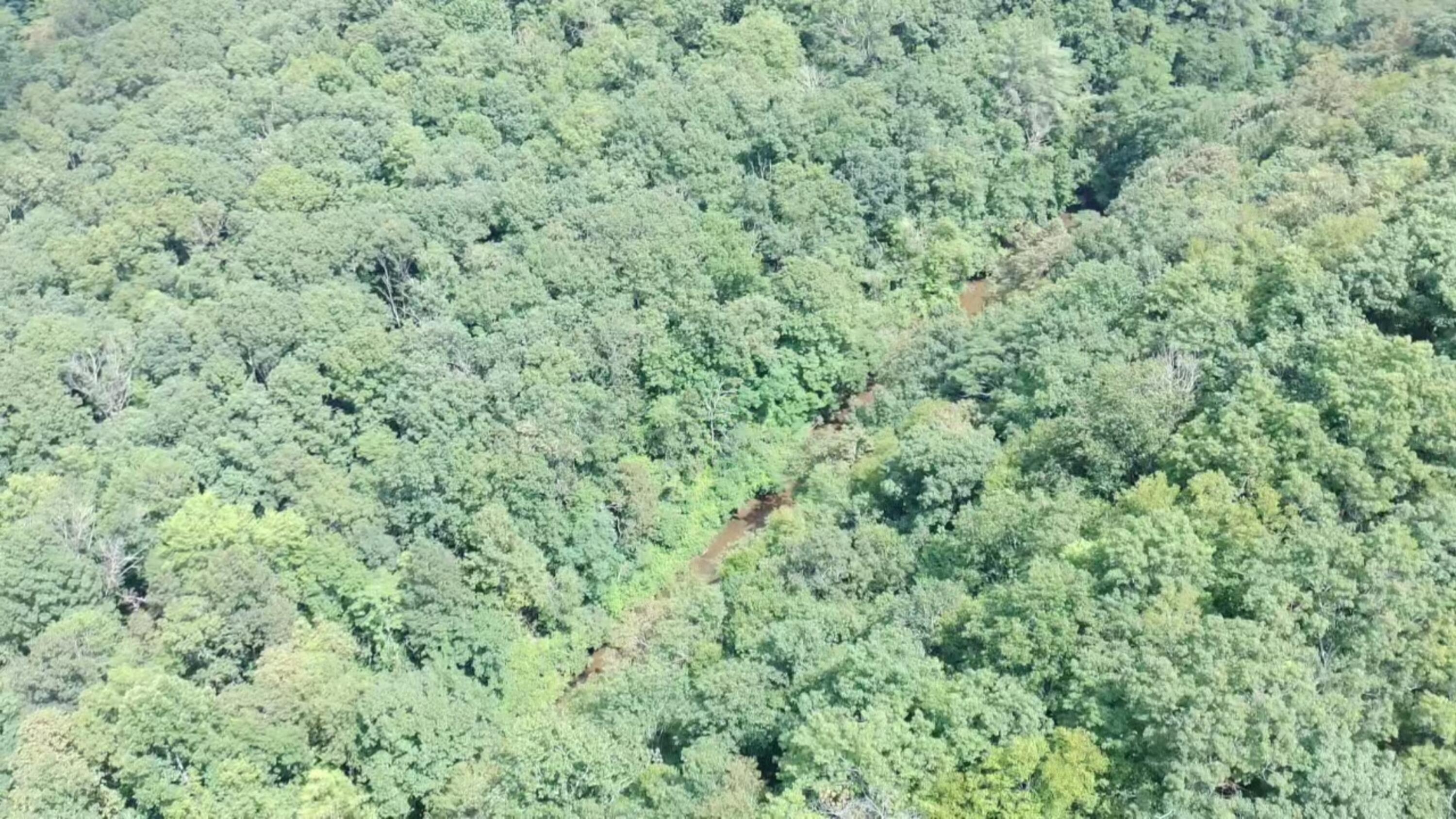 2900 Floyd Highway North Floyd, VA 24091 - Photo 42 of 50 IMG_20250804_1447009