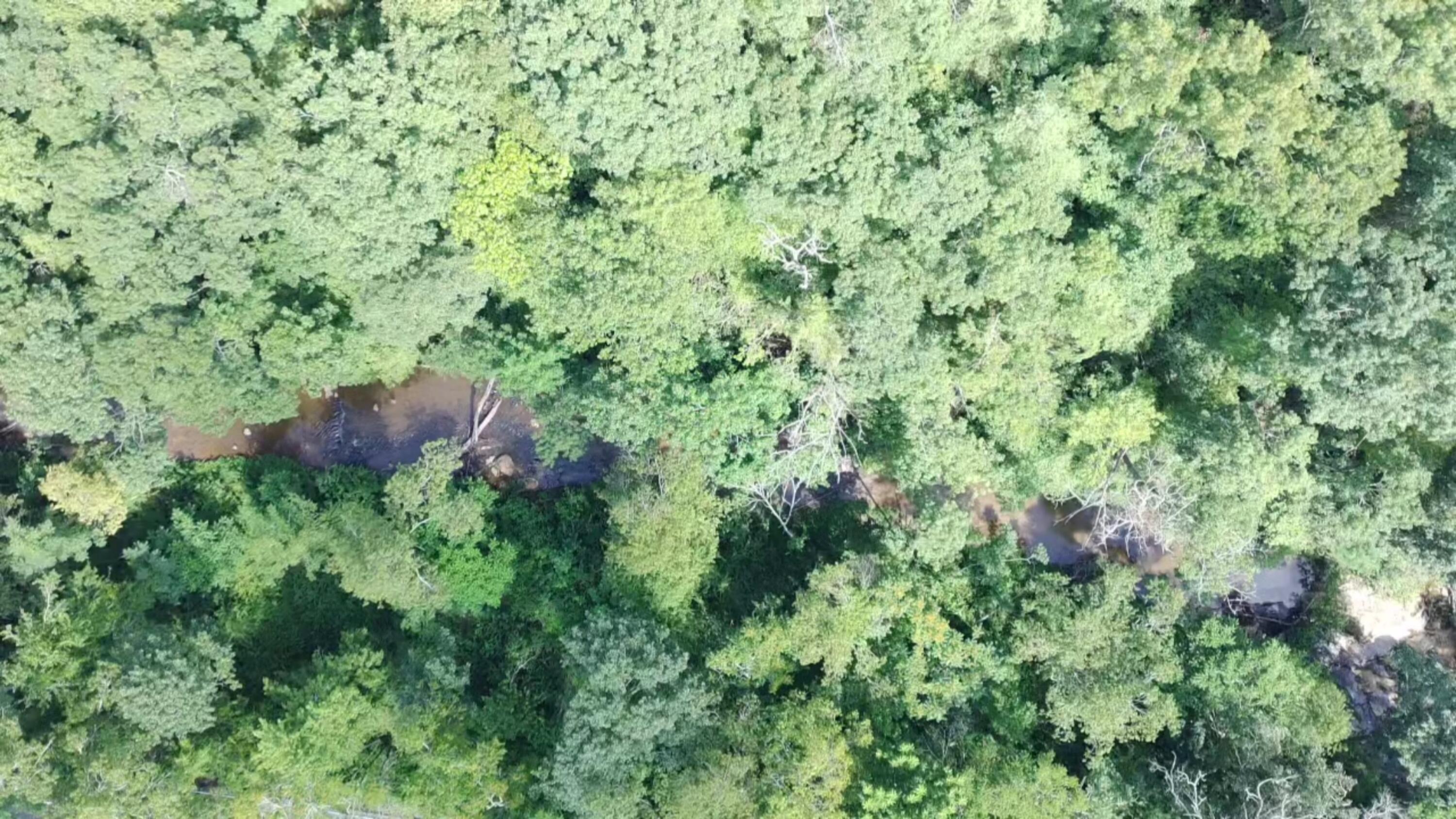 2900 Floyd Highway North Floyd, VA 24091 - Photo 43 of 50 IMG_20250804_1517019