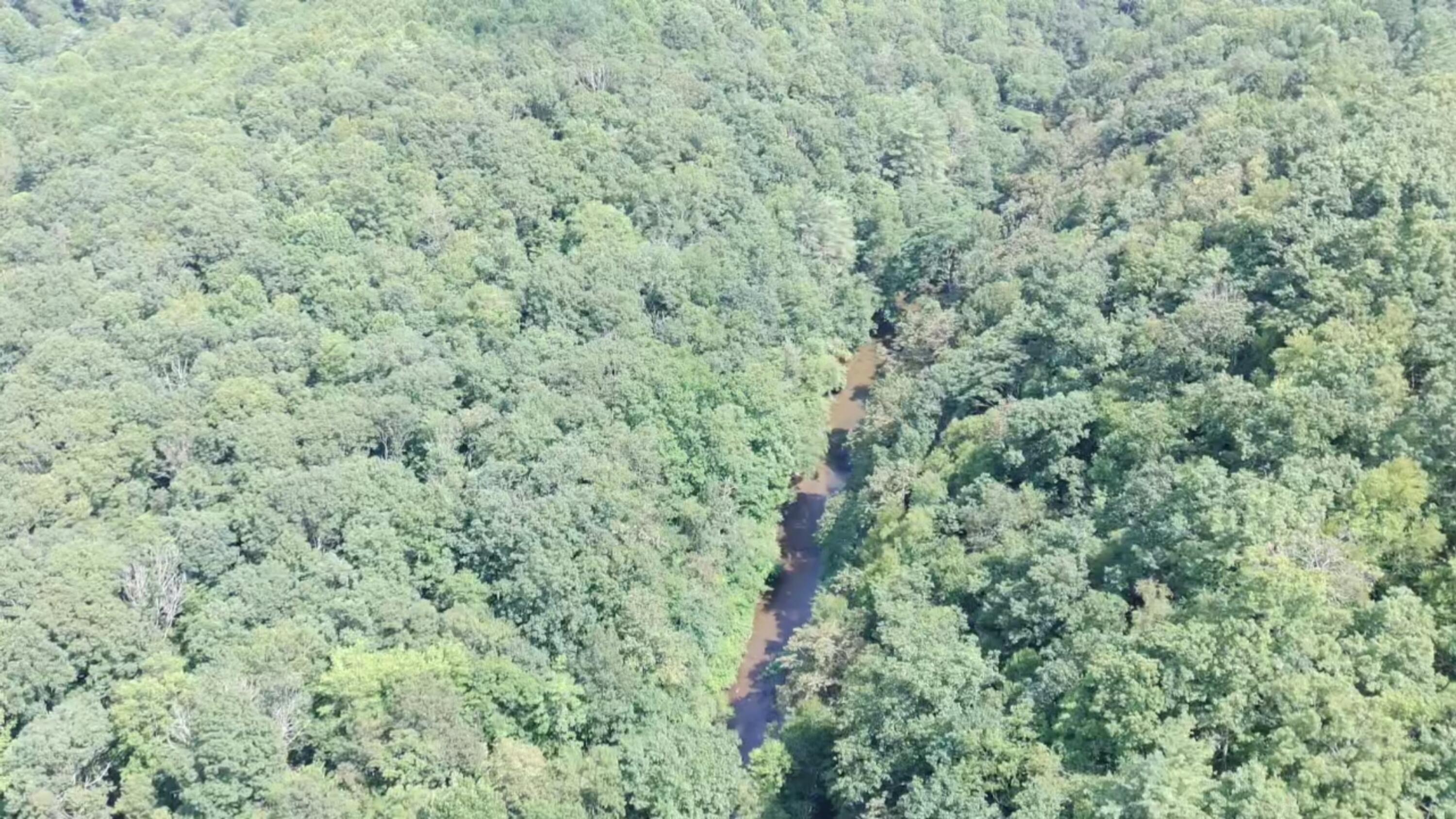 2900 Floyd Highway North Floyd, VA 24091 - Photo 44 of 50 a view of a covered with green field
