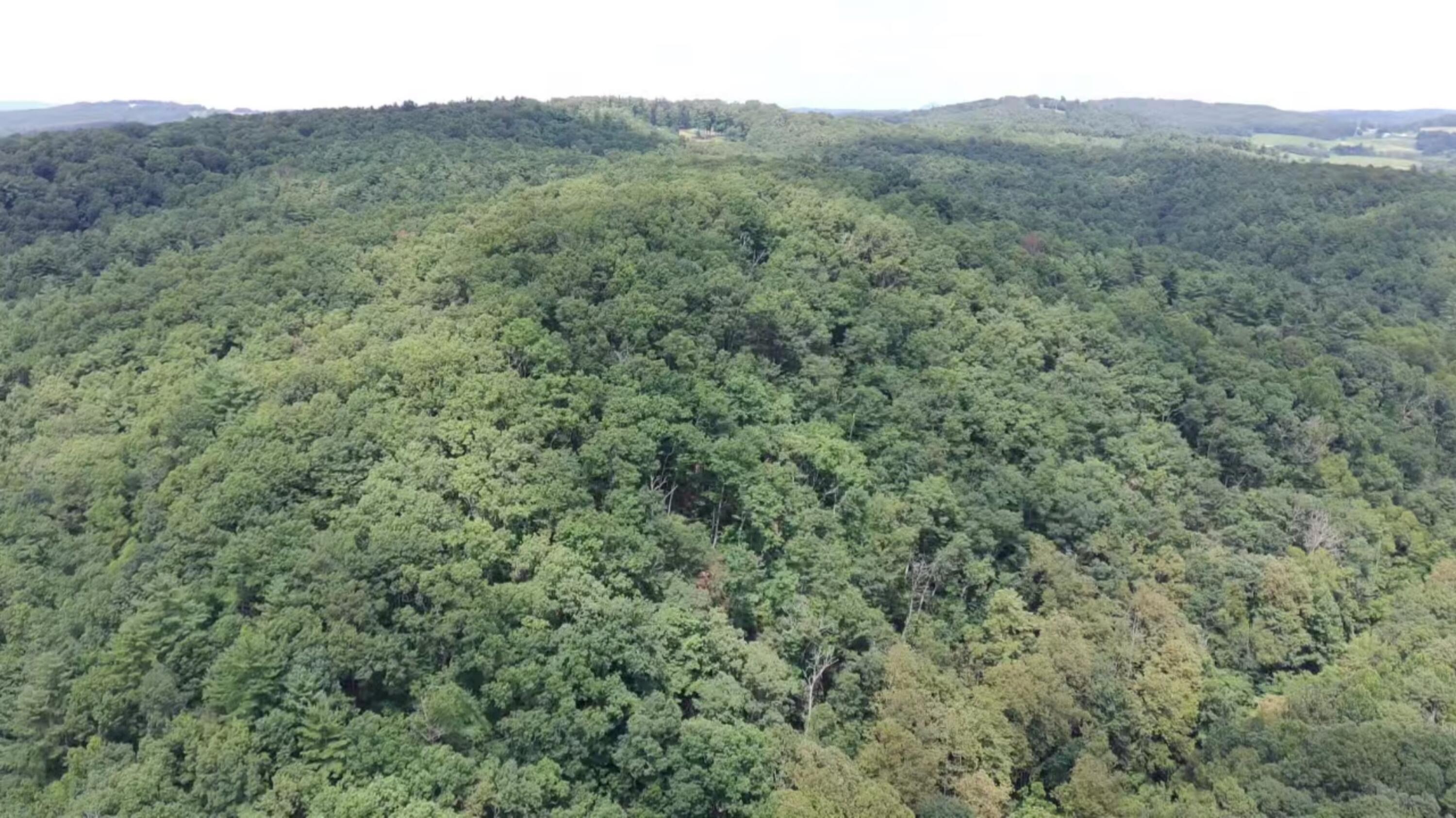 2900 Floyd Highway North Floyd, VA 24091 - Photo 45 of 50 IMG_20250804_1448008