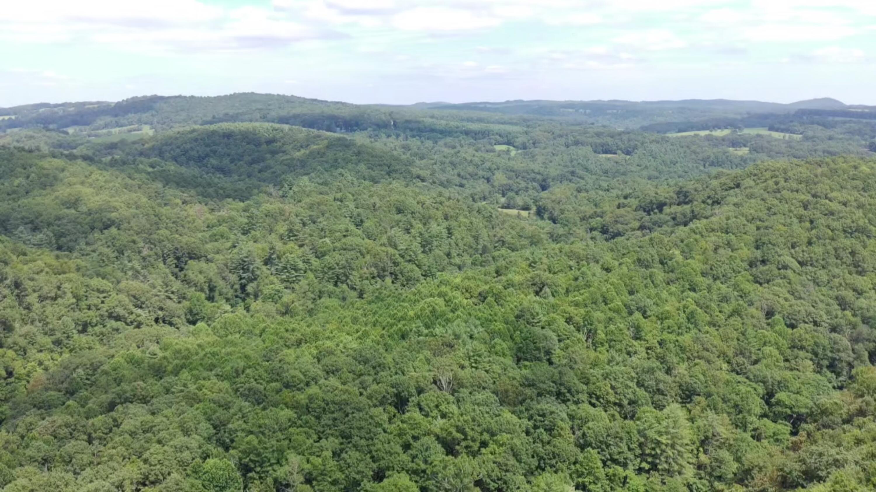 2900 Floyd Highway North Floyd, VA 24091 - Photo 46 of 50 IMG_20250804_1447042