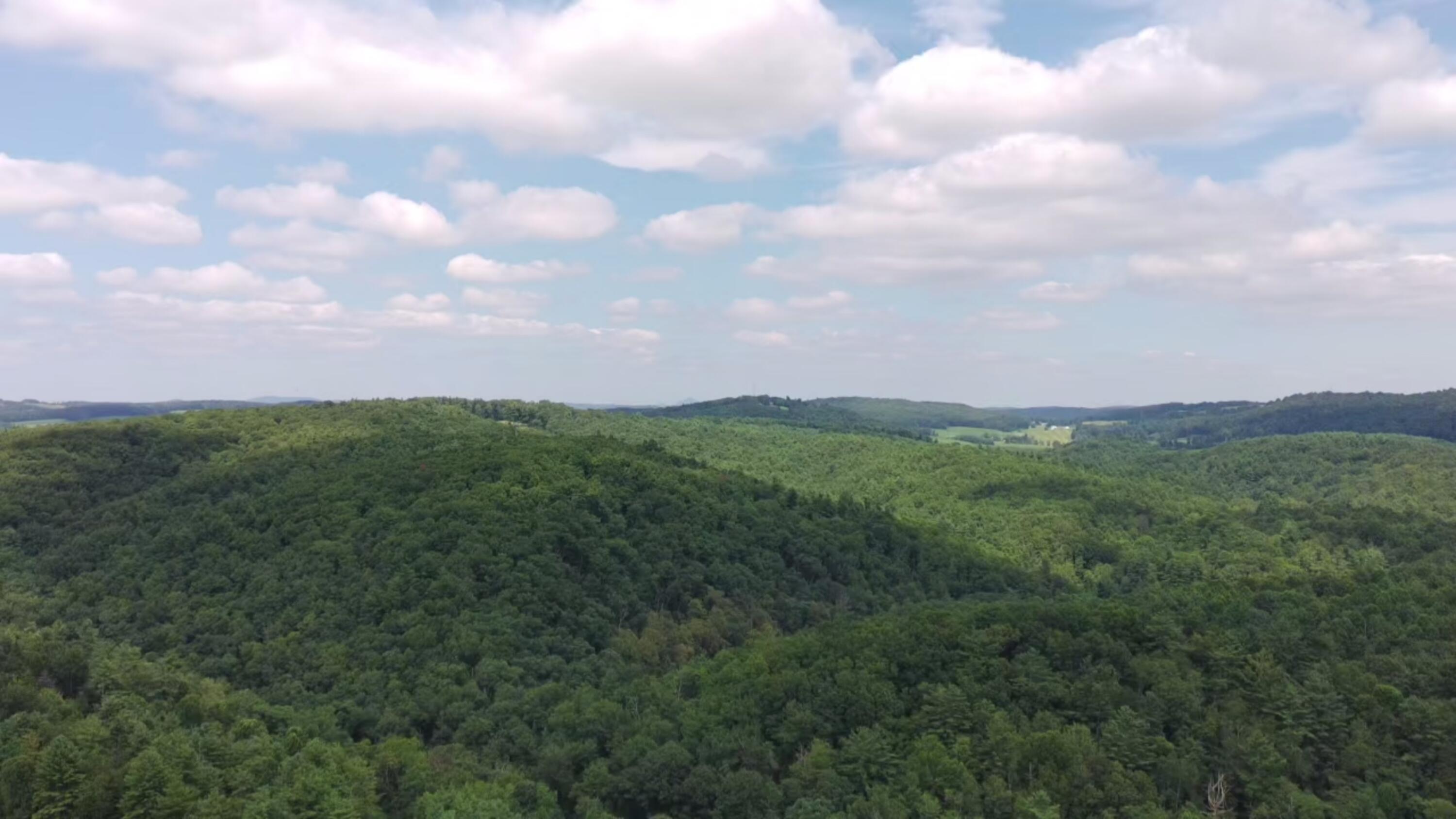 2900 Floyd Highway North Floyd, VA 24091 - Photo 47 of 50 IMG_20250804_1439002