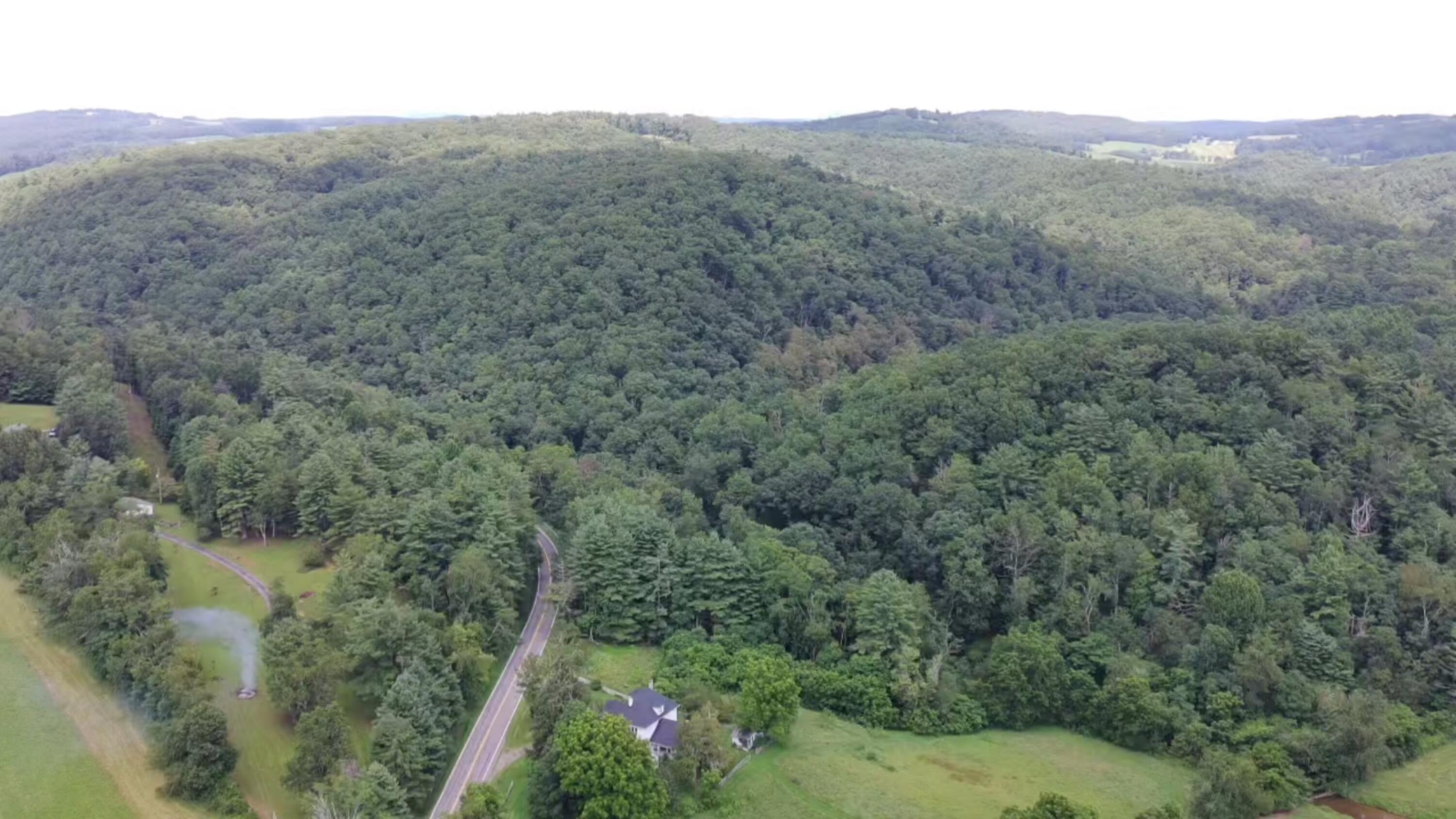 2900 Floyd Highway North Floyd, VA 24091 - Photo 48 of 50 IMG_20250804_1438043