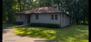 a view of a house with a yard plants and large tree