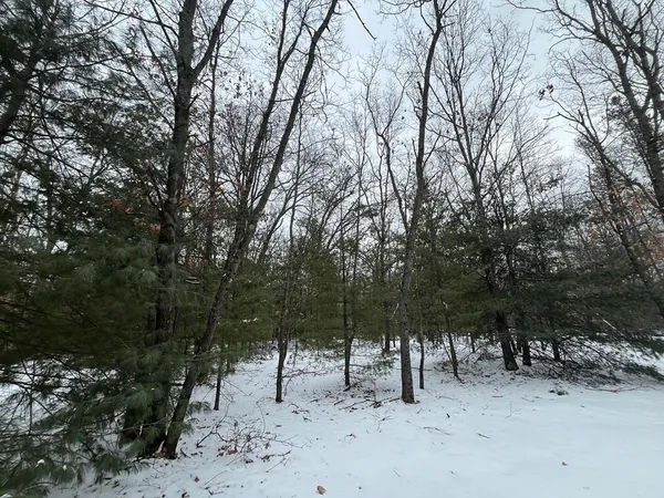 $59,000 | 121 West Pierce Drive, White Cloud, MI 49349