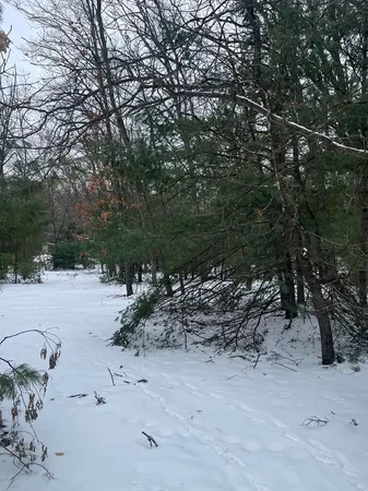 $59,000 | 121 West Pierce Drive, White Cloud, MI 49349