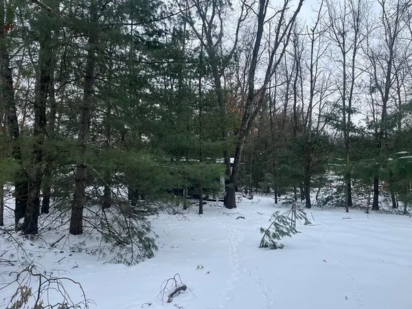 $59,000 | 121 West Pierce Drive, White Cloud, MI 49349