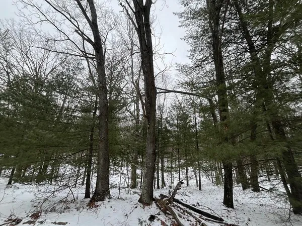 $59,000 | 121 West Pierce Drive, White Cloud, MI 49349