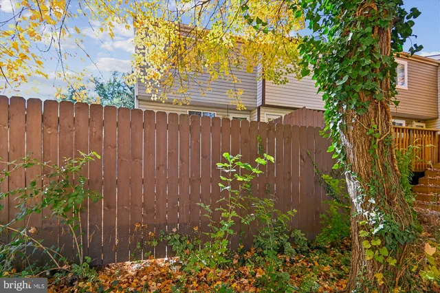 a view of a backyard with plants