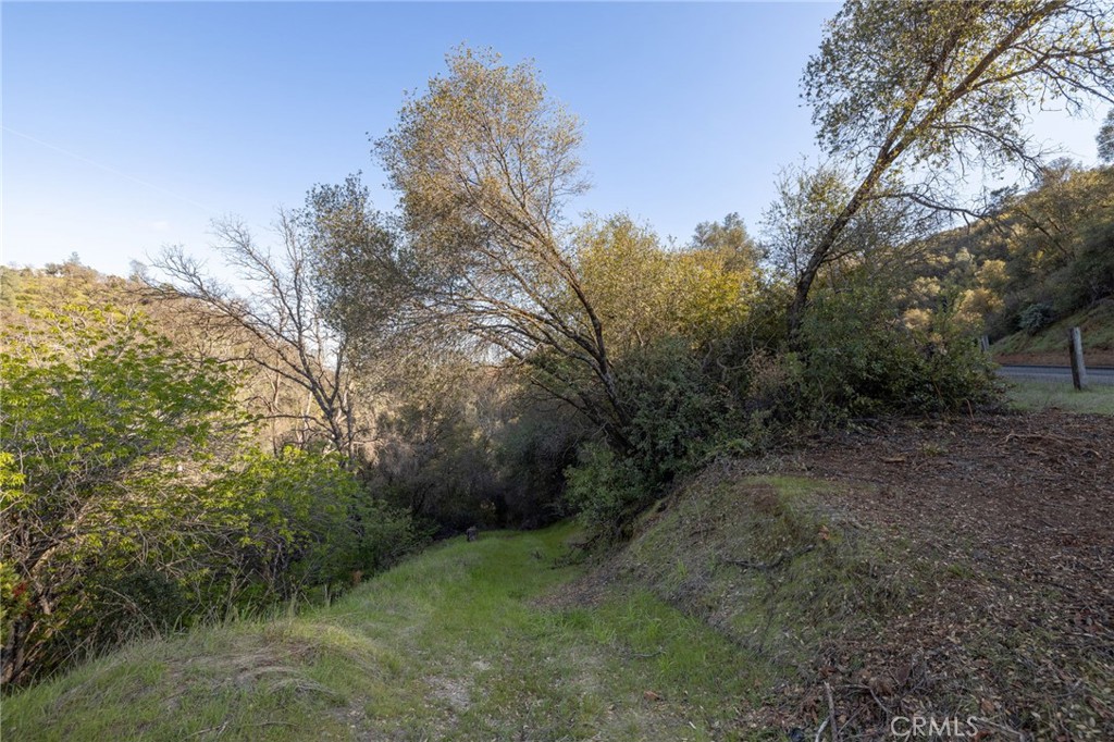 0 Highway 140 Mariposa, CA 95338 - Photo 11 of 51 a big yard with lots of green space