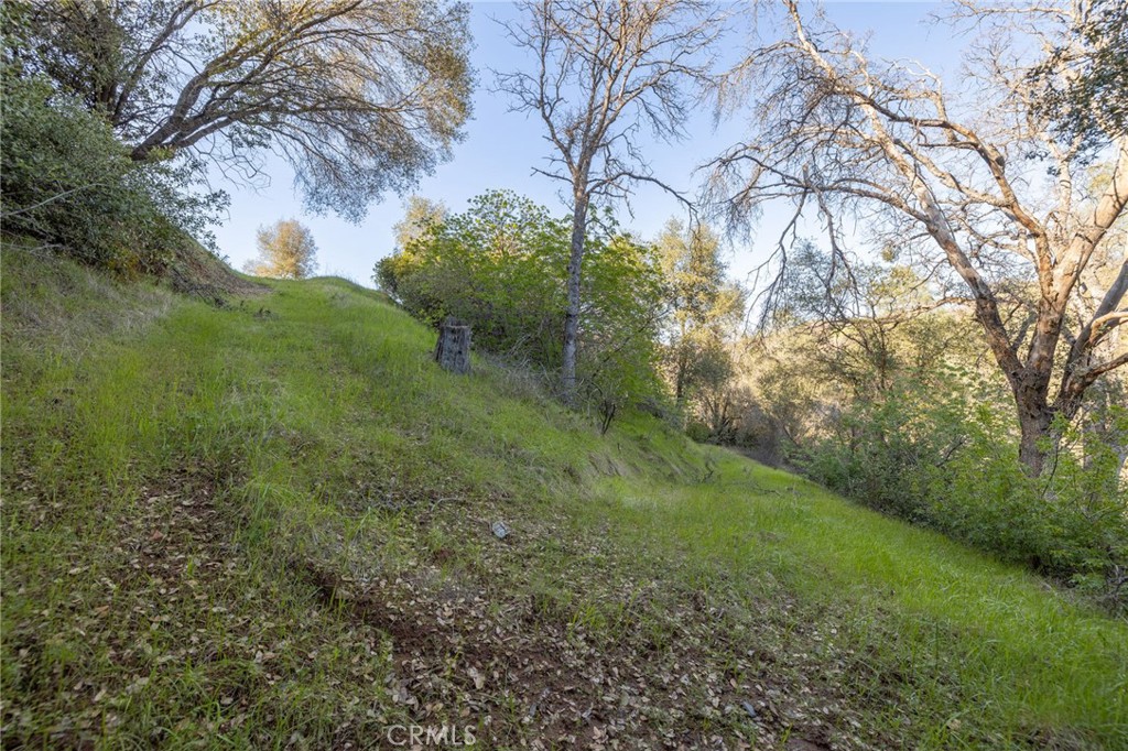 0 Highway 140 Mariposa, CA 95338 - Photo 15 of 51 a view of a yard with a tree
