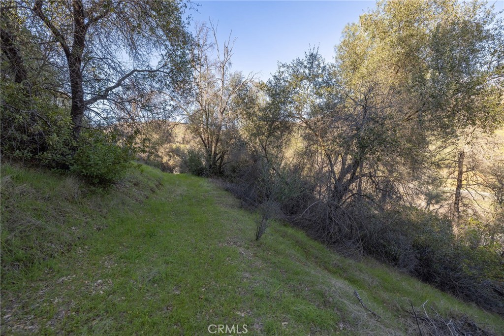 0 Highway 140 Mariposa, CA 95338 - Photo 16 of 51 a view of a forest with trees in the background
