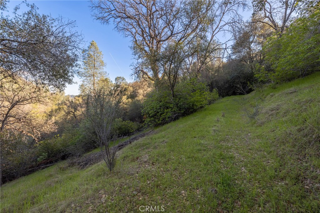 0 Highway 140 Mariposa, CA 95338 - Photo 17 of 51 a big yard with lots of green space and deers