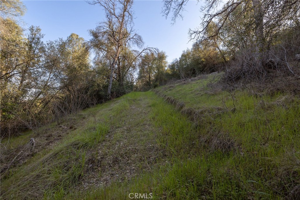 0 Highway 140 Mariposa, CA 95338 - Photo 19 of 51 a view of a field of grass and trees