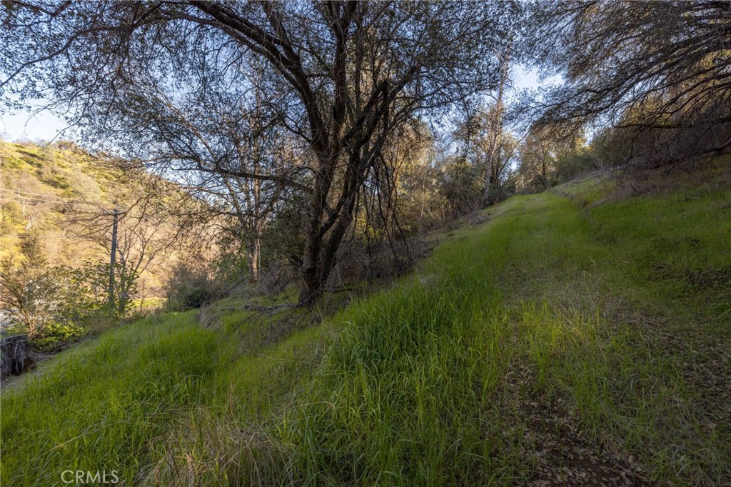0 Highway 140 Mariposa, CA 95338 - Photo 21 of 51 a view of a lush green space