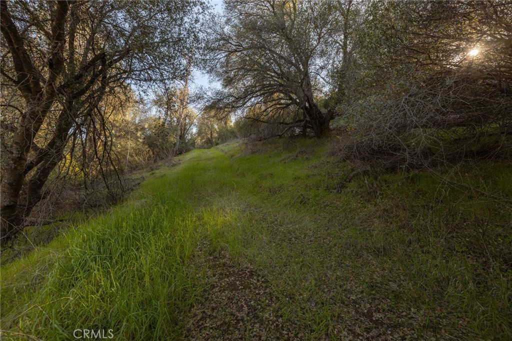 0 Highway 140 Mariposa, CA 95338 - Photo 22 of 51 a view of a yard