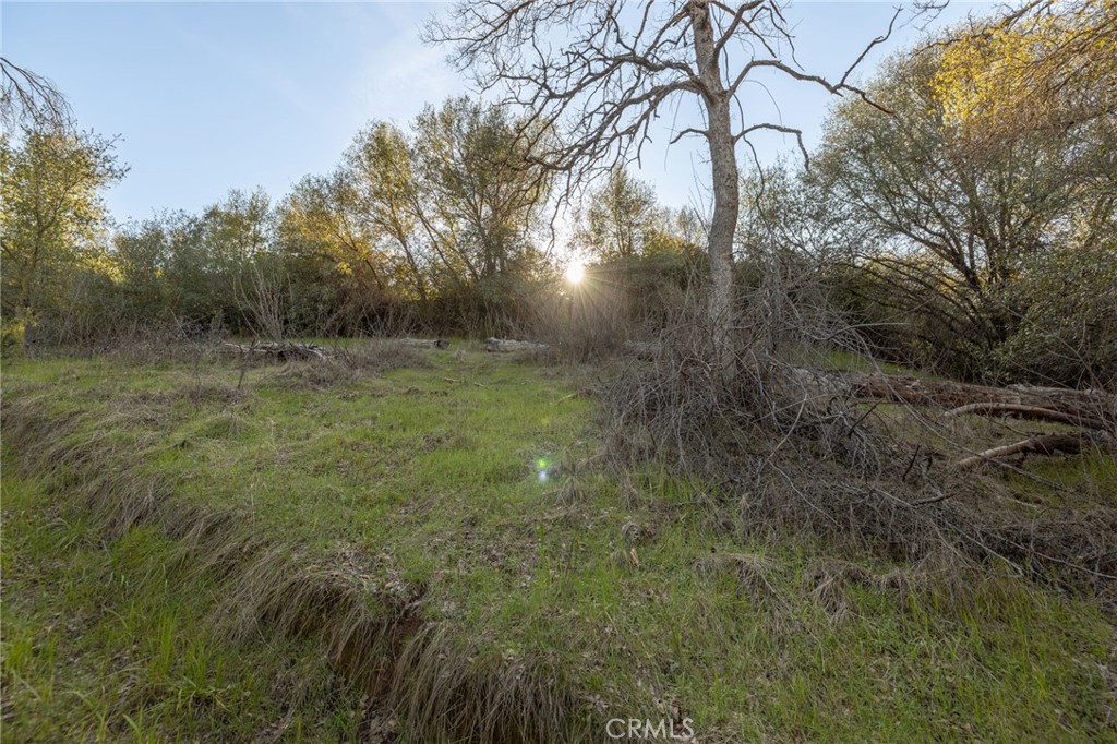0 Highway 140 Mariposa, CA 95338 - Photo 23 of 51 a view of yard with green space