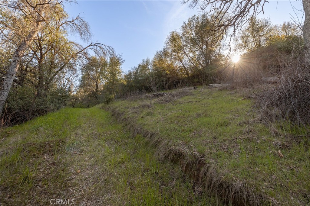 0 Highway 140 Mariposa, CA 95338 - Photo 24 of 51 a view of a yard with plants and a bench