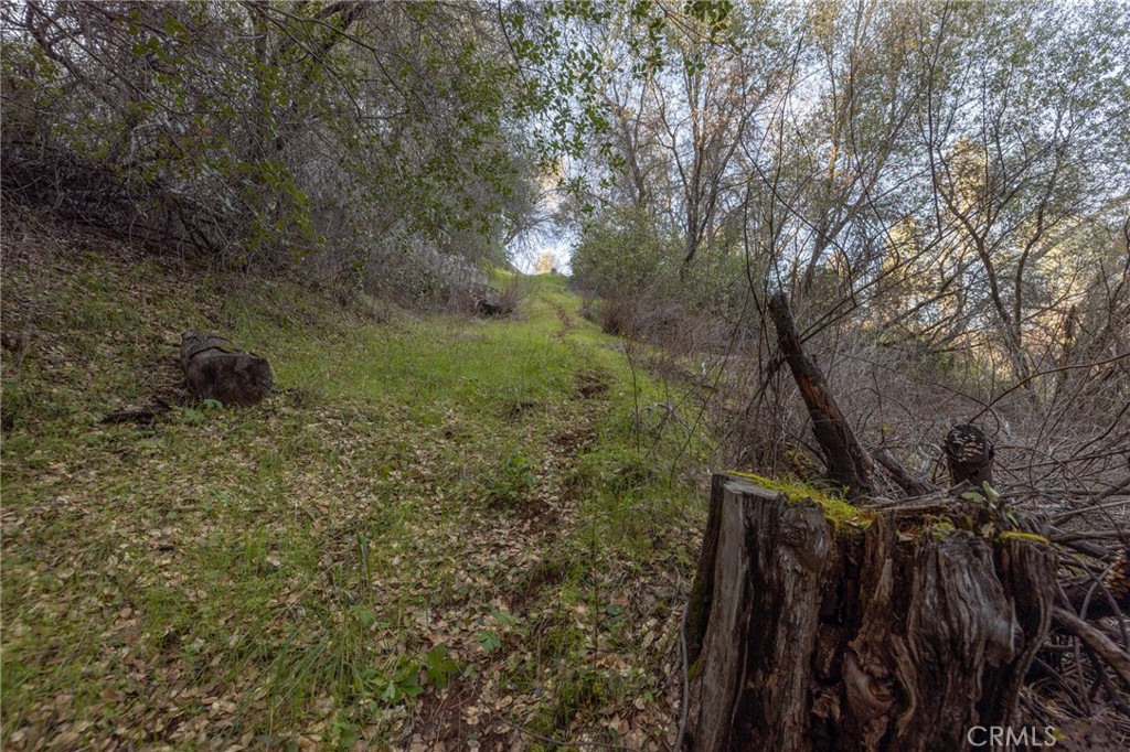 0 Highway 140 Mariposa, CA 95338 - Photo 25 of 51 a view of an outdoor space