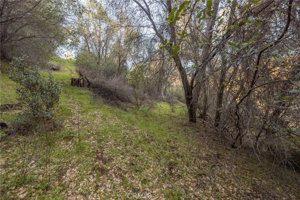 0 Highway 140 Mariposa, CA 95338 - Photo 27 of 51 a big yard with lots of green space and deers