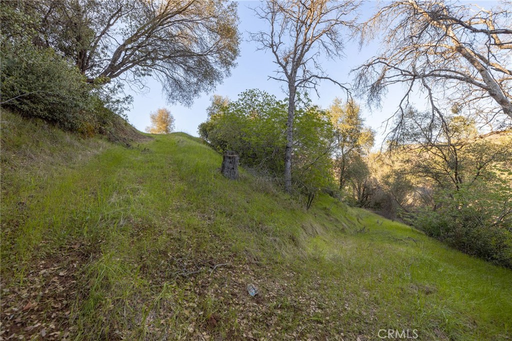 0 Highway 140 Mariposa, CA 95338 - Photo 30 of 51 a view of a yard with a tree