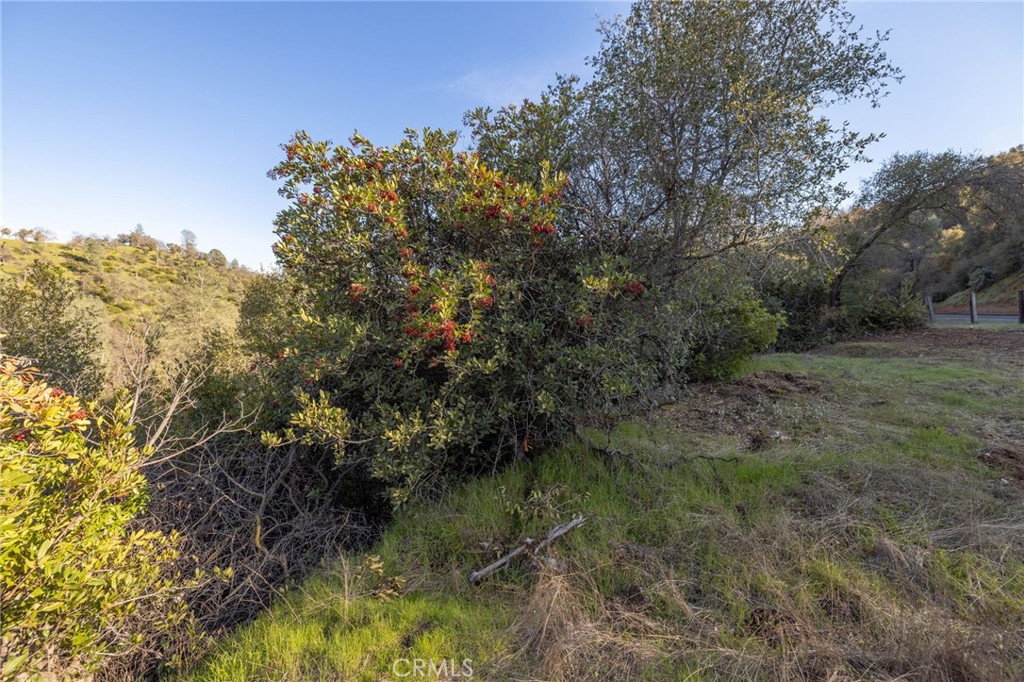 0 Highway 140 Mariposa, CA 95338 - Photo 33 of 51 a view of a lake in middle of forest