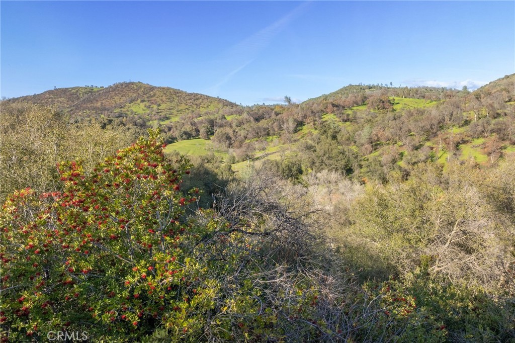 0 Highway 140 Mariposa, CA 95338 - Photo 38 of 51 a view of a mountain range in the distance