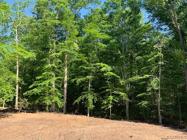 1464 Dispatch Station Road Quinton, VA 23141 - Photo 4 of 5