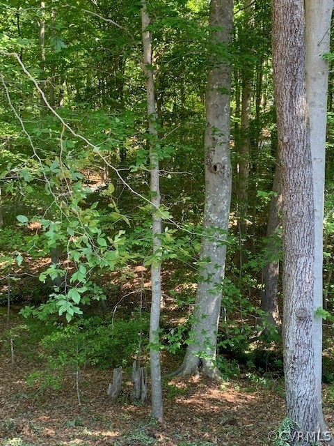 1464 Dispatch Station Road Quinton, VA 23141 - Photo 5 of 5