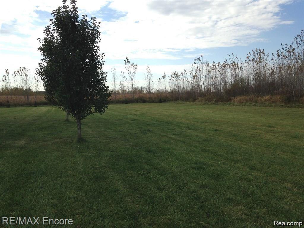 6457 Cade Road Imlay City, MI 48444 - Photo 48 of 52 sarah 54.jpg