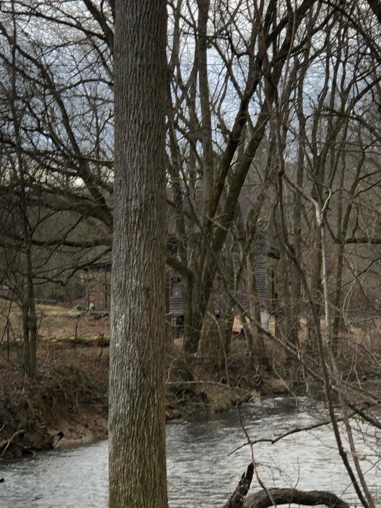 240 Bob Ledbetter Road Livingston, TN 38570 - Photo 61 of 62 a backyard of a house with lots of green space