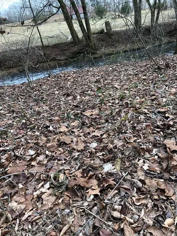 $799,900 | 240 Bob Ledbetter Road, Livingston, TN 38570