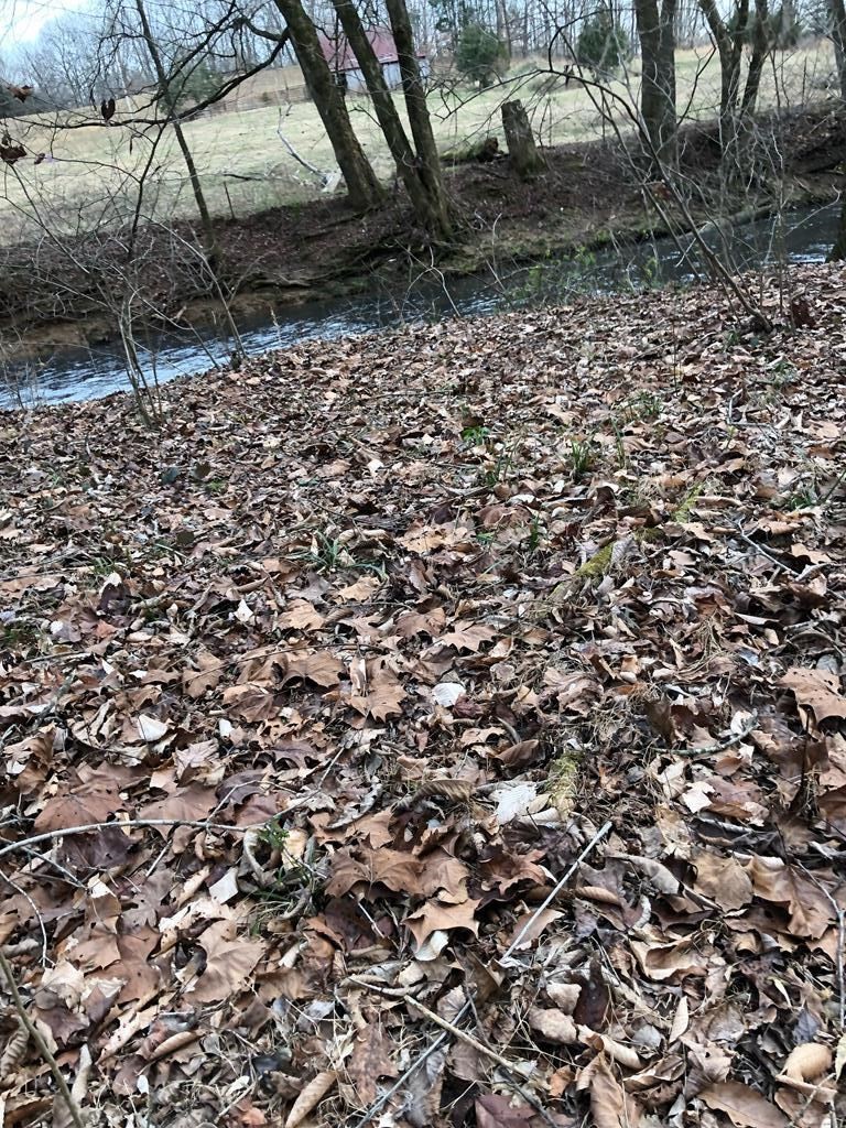 240 Bob Ledbetter Road Livingston, TN 38570 - Photo 62 of 62