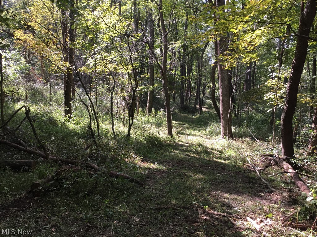 Stony Point Road Dover, OH 44622 - Photo 6 of 19 Gallery Image 6