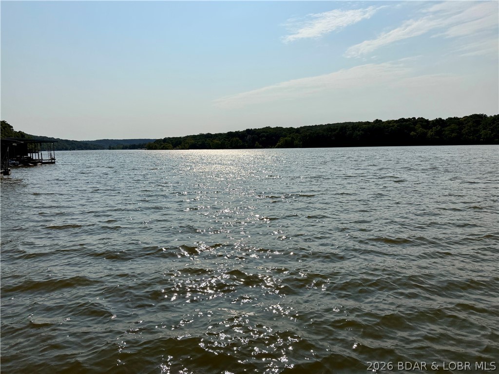 1368 Cedar Ridge Circle Roach, MO 65787 - Photo 6 of 42 view from dock