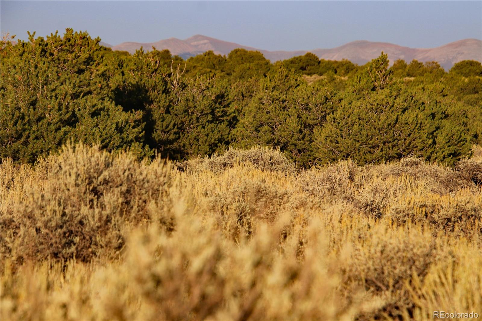 Powerline Road San Luis, CO 81152 - Photo 26 of 37 Gallery Image 26