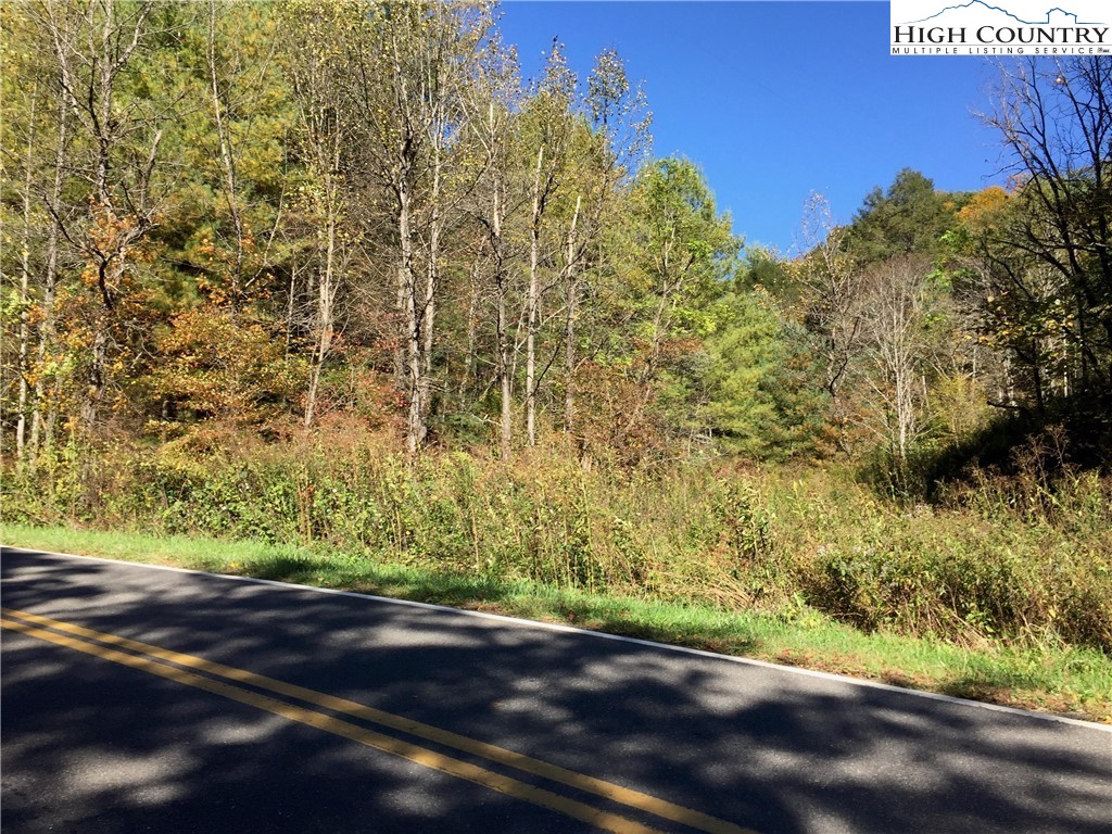 Smithey Road Grassy Creek, NC 28631 - Photo 11 of 38 Gallery Image 11