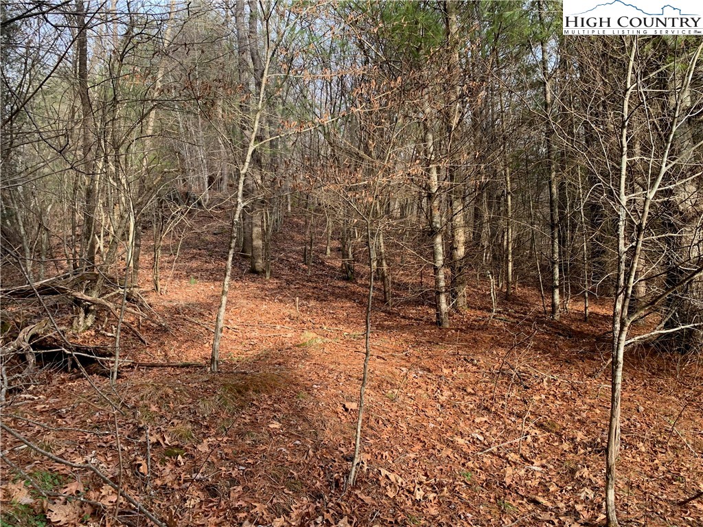 Smithey Road Grassy Creek, NC 28631 - Photo 28 of 38 Gallery Image 28