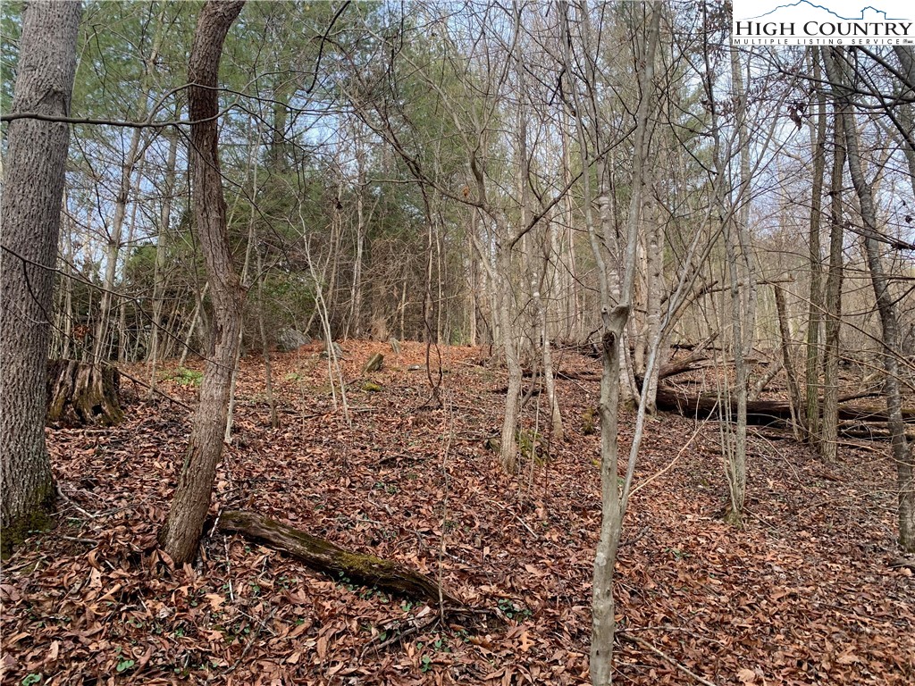 Smithey Road Grassy Creek, NC 28631 - Photo 29 of 38 Gallery Image 29