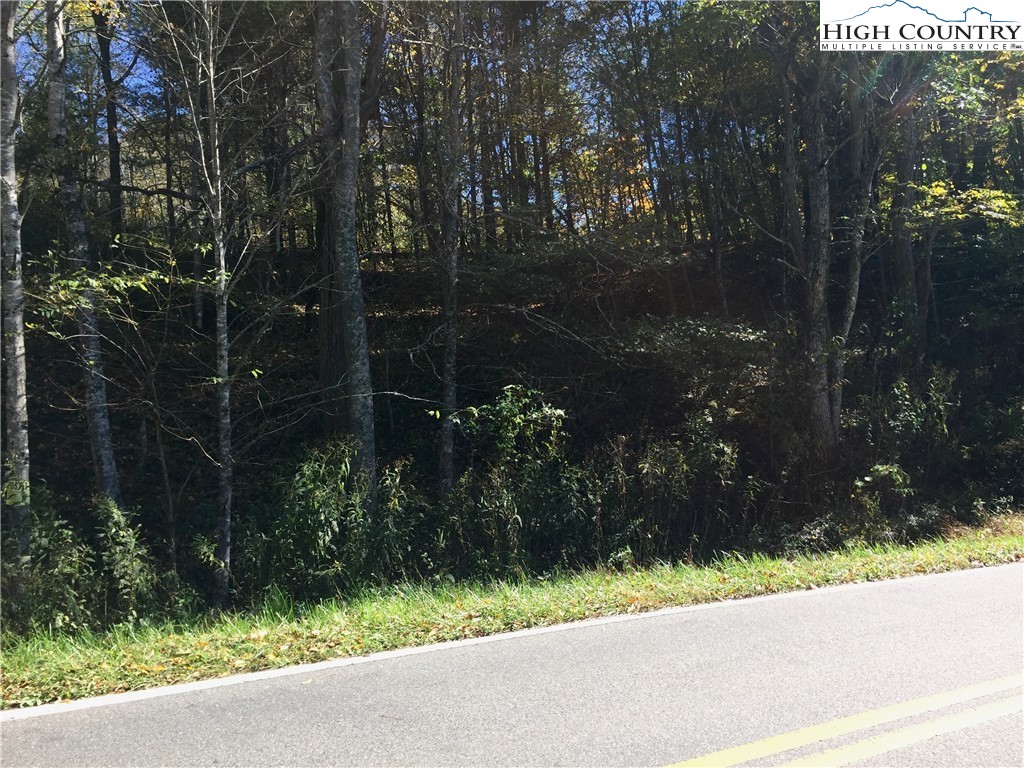 Smithey Road Grassy Creek, NC 28631 - Photo 3 of 38 Gallery Image 3