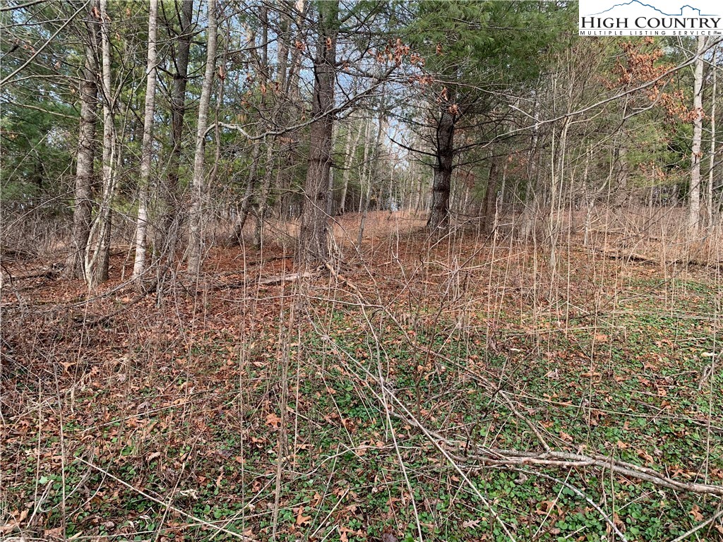 Smithey Road Grassy Creek, NC 28631 - Photo 31 of 38 Gallery Image 31